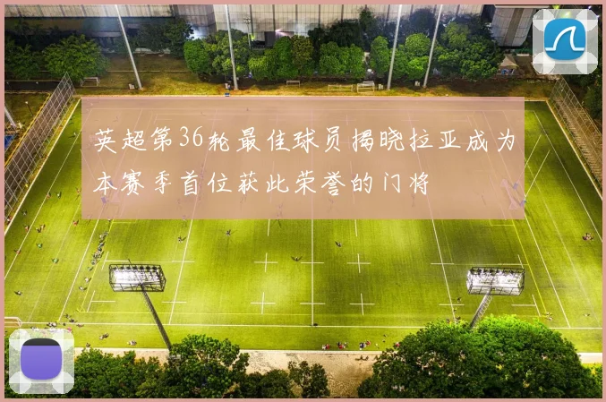英超第36轮最佳球员揭晓拉亚成为本赛季首位获此荣誉的门将
