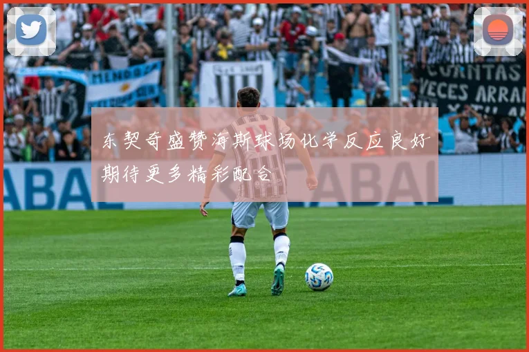东契奇盛赞海斯球场化学反应良好期待更多精彩配合