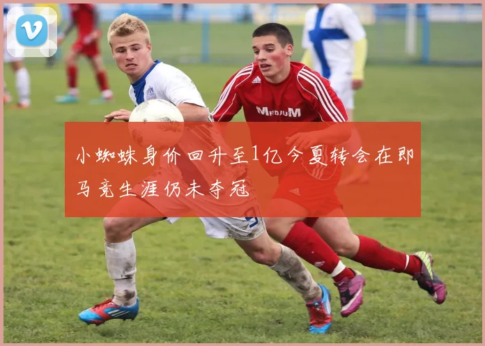 小蜘蛛身价回升至1亿今夏转会在即马竞生涯仍未夺冠